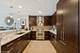 240 E Illinois Unit 1009, Chicago, IL 60611