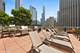 240 E Illinois Unit 1009, Chicago, IL 60611