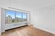 88 W Schiller Unit 2907L, Chicago, IL 60610