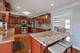 927 S Charlotte, Lombard, IL 60148