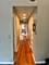 902 W Grace Unit 1, Chicago, IL 60613