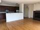 343 W Old Town Unit 509, Chicago, IL 60610