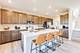 309 Danforth, Oswego, IL 60543