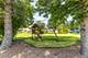 931 Coventry, Lake Forest, IL 60045