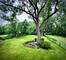 638 N Edgewood, La Grange Park, IL 60526
