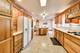 8021 W Rascher, Norwood Park Township, IL 60656