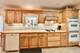 8021 W Rascher, Norwood Park Township, IL 60656