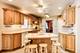 8021 W Rascher, Norwood Park Township, IL 60656
