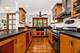 9 Williamsburg, Evanston, IL 60203