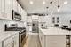 361 Hoffmann, Buffalo Grove, IL 60089