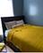 4241 S Langley Unit 2, Chicago, IL 60653
