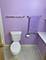 9701 N Dee Unit 4N, Niles, IL 60714