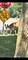 2222 S 15th, North Riverside, IL 60546