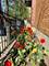 2008 W Willow Unit C, Chicago, IL 60647