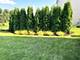 296 N Cardinal, Cortland, IL 60112