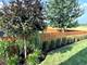 296 N Cardinal, Cortland, IL 60112