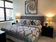 233 E 13th Unit 2210, Chicago, IL 60605