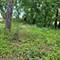 25578 W High, Wauconda, IL 60084