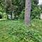 25578 W High, Wauconda, IL 60084
