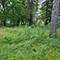 25578 W High, Wauconda, IL 60084