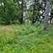 25578 W High, Wauconda, IL 60084