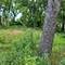 25578 W High, Wauconda, IL 60084