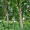 25578 W High, Wauconda, IL 60084