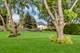755 N Woodfield, Roselle, IL 60172