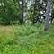 25586 W High, Wauconda, IL 60084
