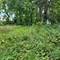 25586 W High, Wauconda, IL 60084