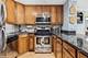 3900 N Pine Grove Unit 409, Chicago, IL 60613