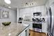1400 S Michigan Unit 1609, Chicago, IL 60605