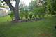 5531 W Hilltop, Monee, IL 60449