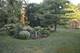 5531 W Hilltop, Monee, IL 60449