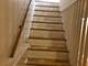 6131 S Langley Unit 1, Chicago, IL 60637