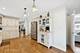 8118 N Overhill, Niles, IL 60714
