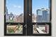 1255 S State Unit 1702, Chicago, IL 60605