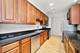 1255 S State Unit 1702, Chicago, IL 60605