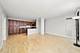 1255 S State Unit 1702, Chicago, IL 60605