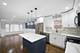 8941 S Luella, Chicago, IL 60617