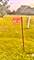 6N160 Garden, Roselle, IL 60172