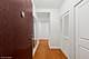1250 S Michigan Unit 1506, Chicago, IL 60605