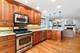 1419 Issel, Batavia, IL 60510