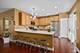 3120 Taunton, Elgin, IL 60124