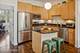 2038 W Warner Unit 103, Chicago, IL 60618