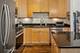 2038 W Warner Unit 103, Chicago, IL 60618