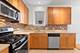 1022 S Racine Unit 102, Chicago, IL 60607
