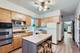 1042 S Scoville, Oak Park, IL 60304