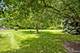 4141 Oak Tree, Plainfield, IL 60586