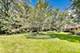914 S School, Mount Prospect, IL 60056